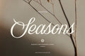Seasons script