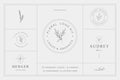 Botanical Logo kit