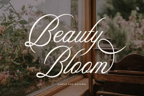 Aesthetics Romantic Script