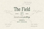The Meadows - Font Trio & Extra