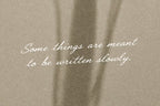 Still Romantic - Font Trio