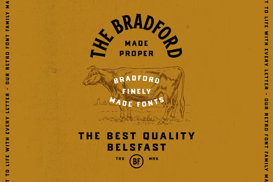 The Bradford Font Family
