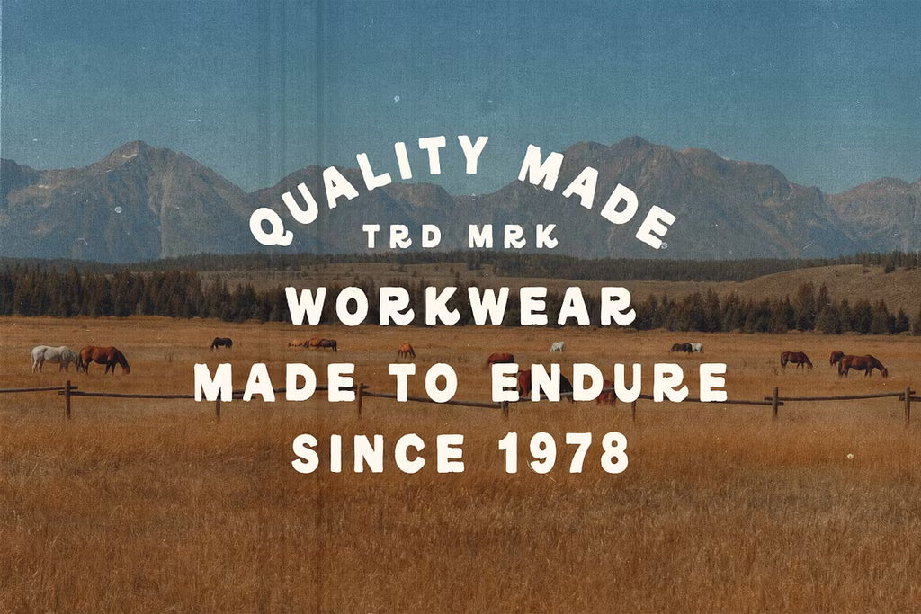 REDLODGE FONT DUO + Extra