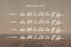 Dustry Trails Font Duo