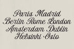The Bradford Font Family
