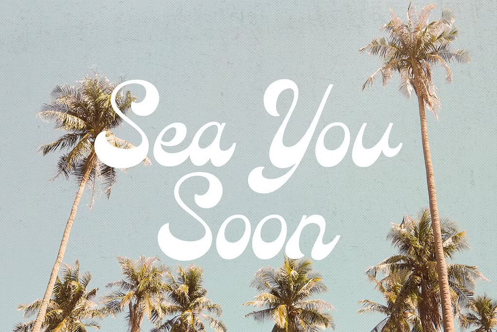 Sun Chaser retro relaxed script font
