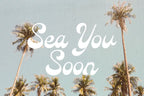 Sun Chaser retro relaxed script font