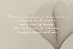 Still Romantic - Font Trio