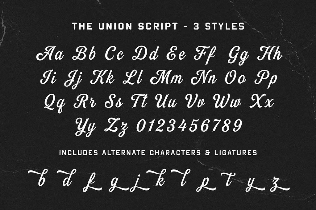 The Union Font Bundle + Extra