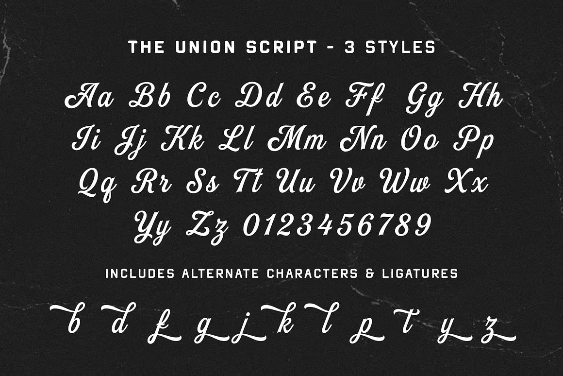 The Union Font Bundle + Extra