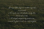 The Meadows - Font Trio & Extra