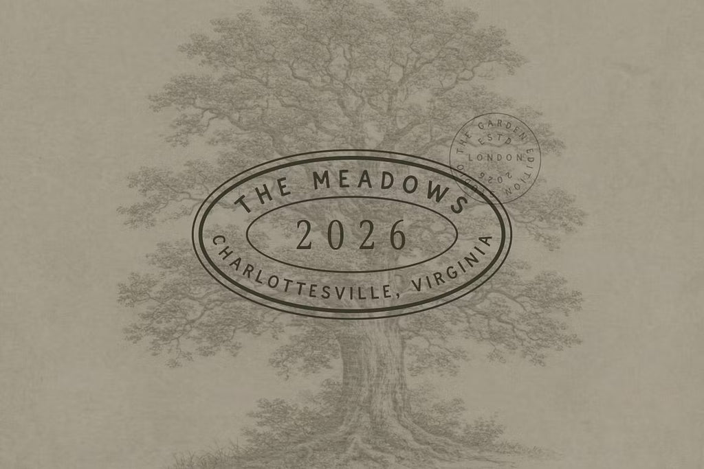 The Meadows - Font Trio & Extra