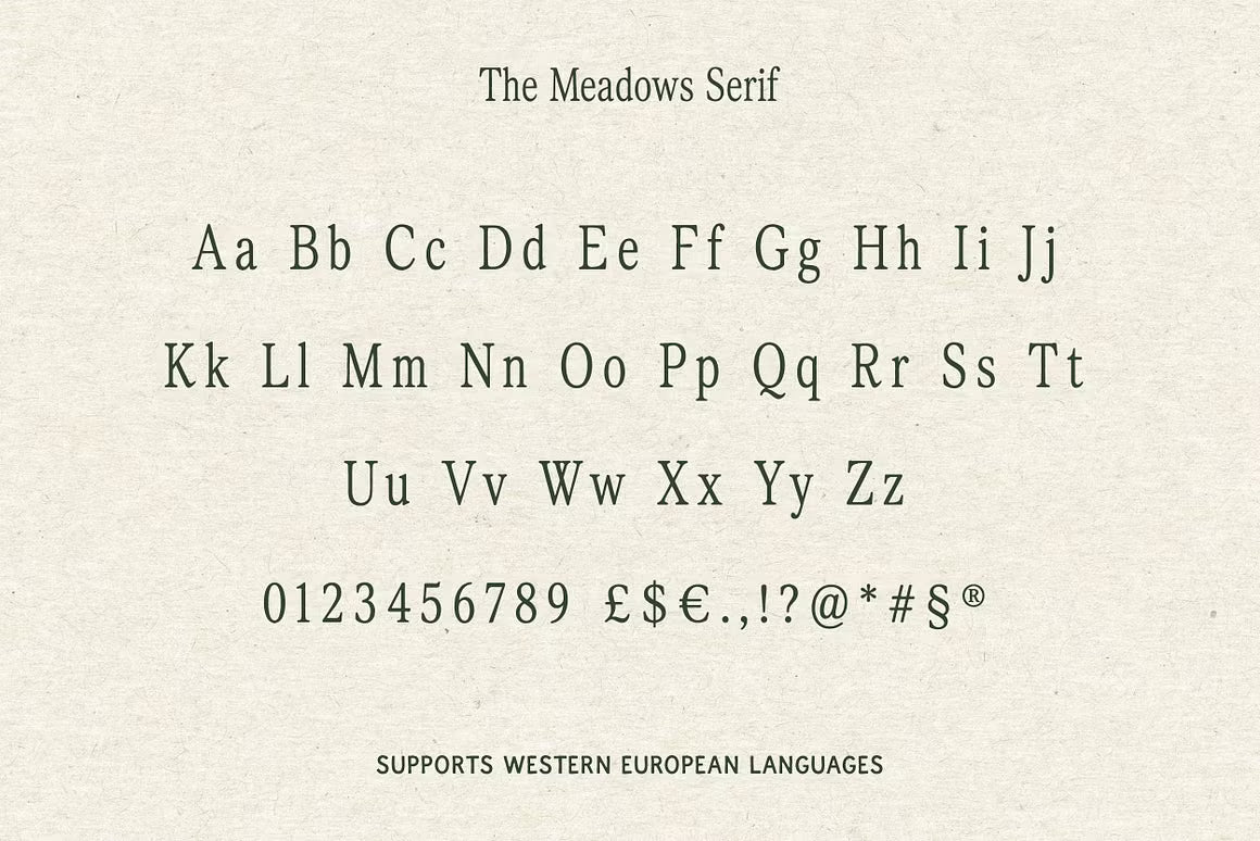 The Meadows - Font Trio & Extra