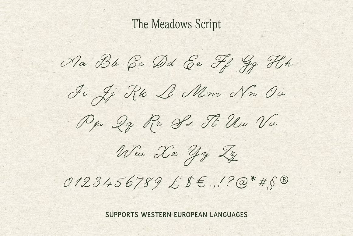 The Meadows - Font Trio & Extra