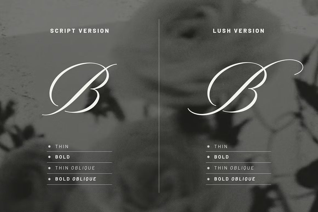 Editorial Society - Luxury Font Duo