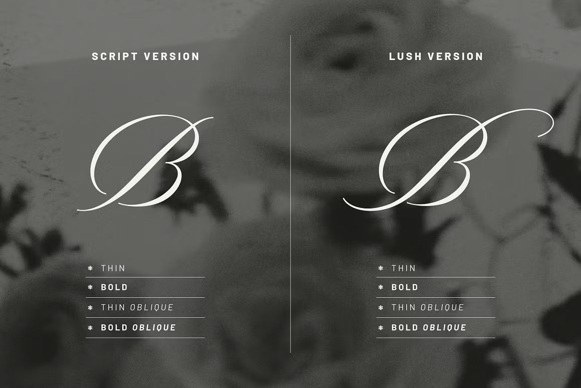 Editorial Society - Luxury Font Duo