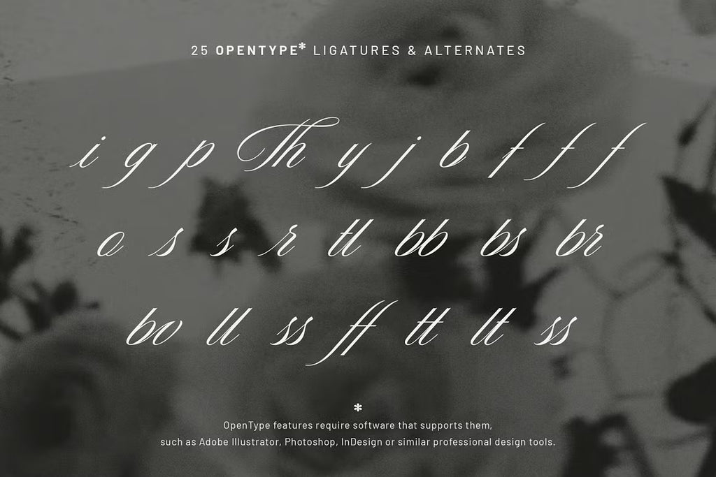 Editorial Society - Luxury Font Duo